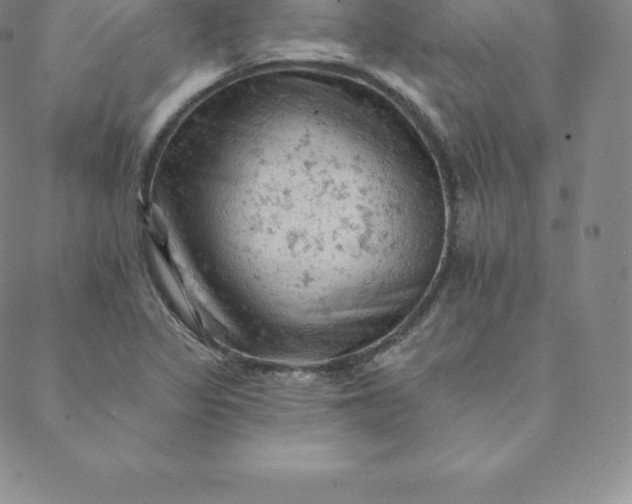 X0000088651317200706081628