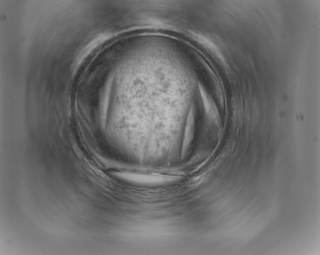 X0000088651318200706081628