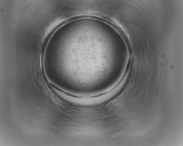 X0000088651320200706081628