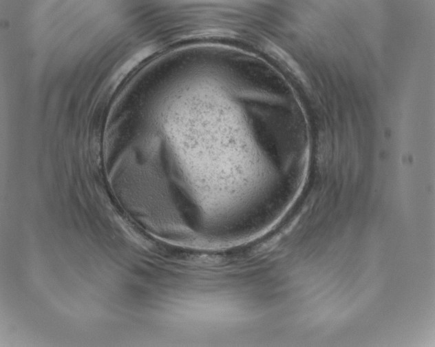 X0000088651321200706081628