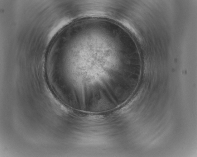 X0000088651325200706081628