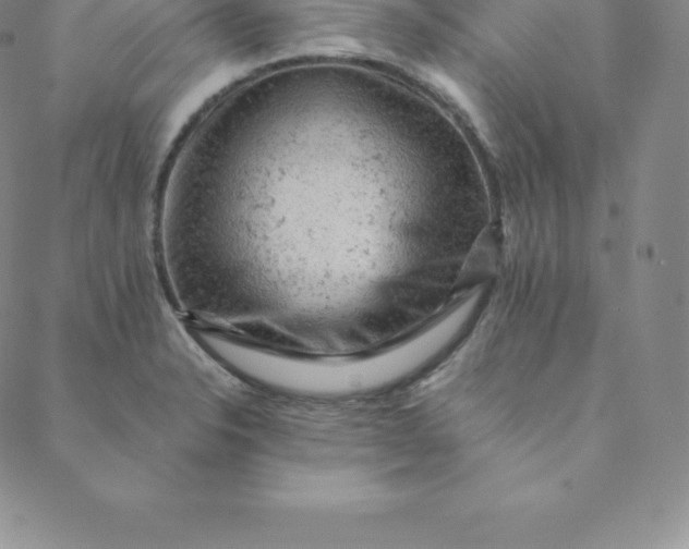 X0000088651326200706081628