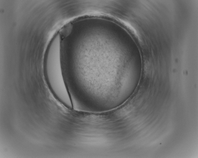 X0000088651327200706081628