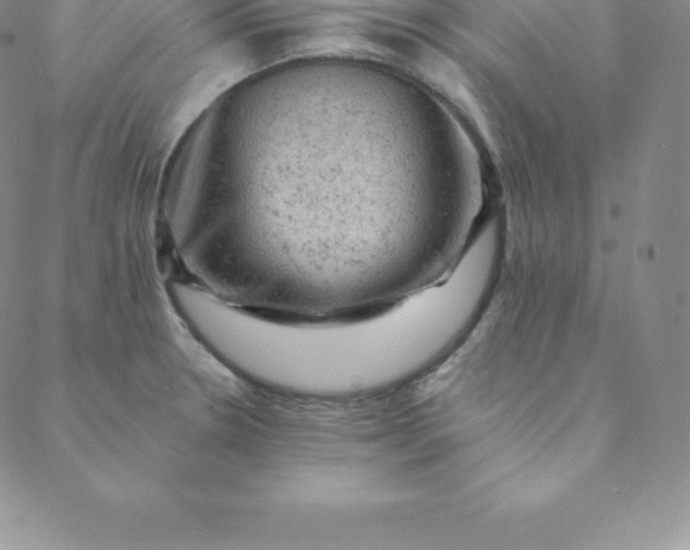 X0000088651330200706081628