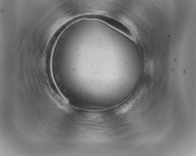 X0000088651332200706081628