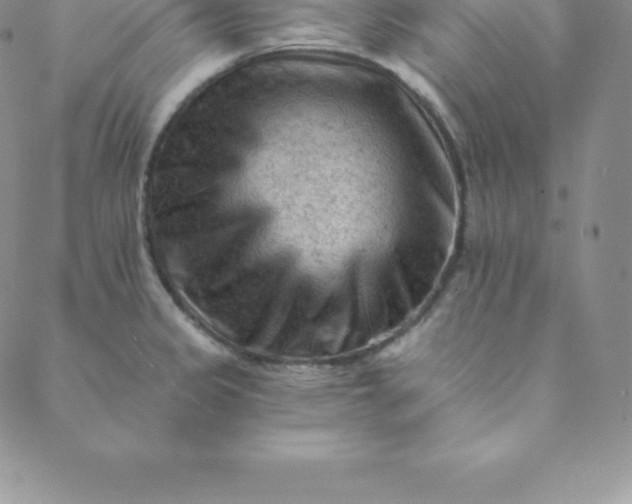 X0000088651333200706081628