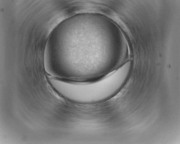 X0000088651337200706081628