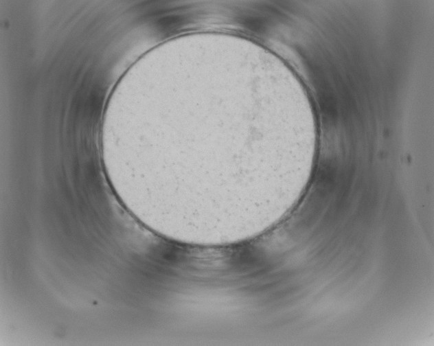 X0000088651338200706081628