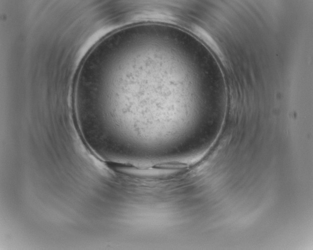 X0000088651339200706081628