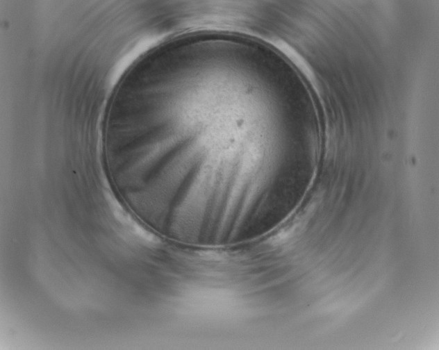 X0000088651341200706081628