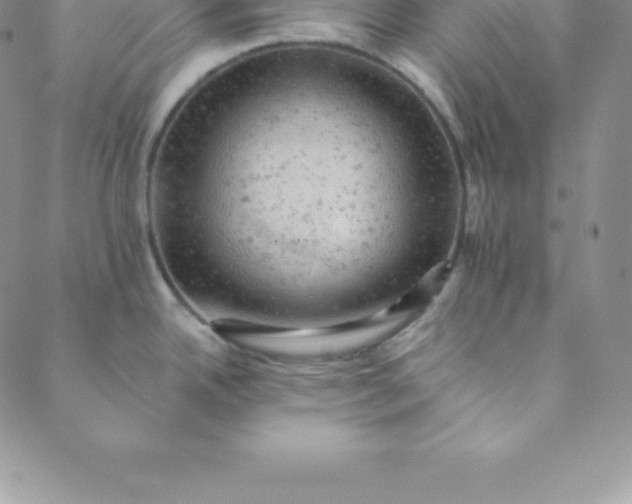 X0000088651342200706081628