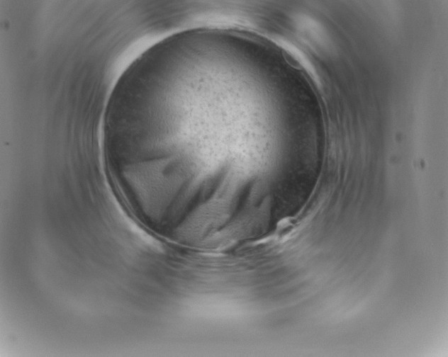 X0000088651343200706081628