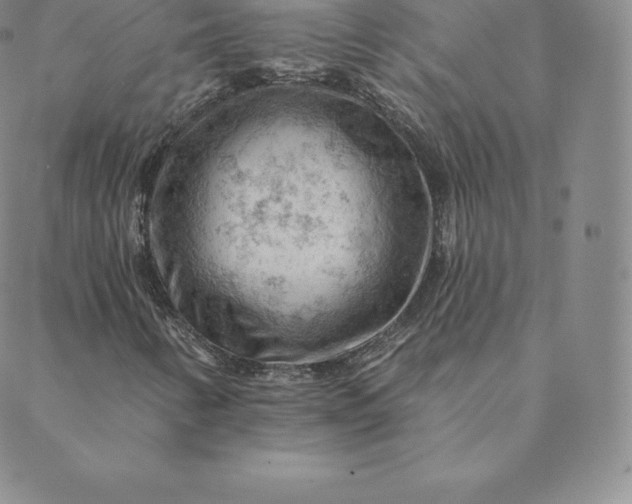 X0000088651346200706081627