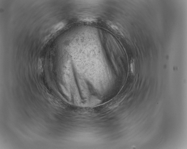 X0000088651347200706081627