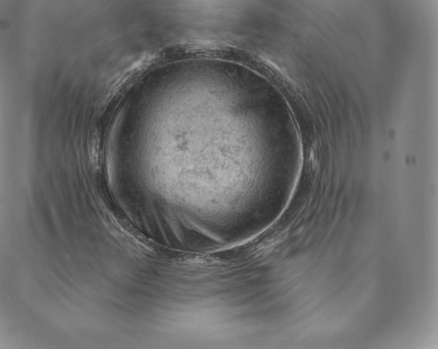 X0000088651348200706081627