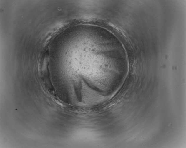 X0000088651349200706081627