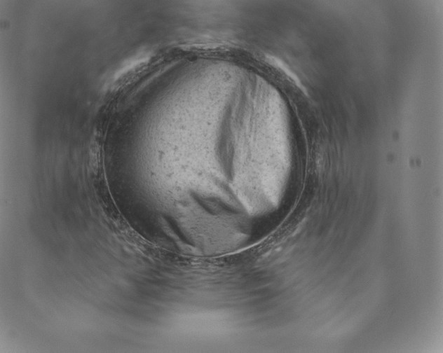 X0000088651350200706081627