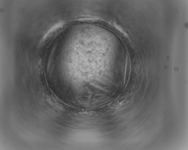 X0000088651351200706081627