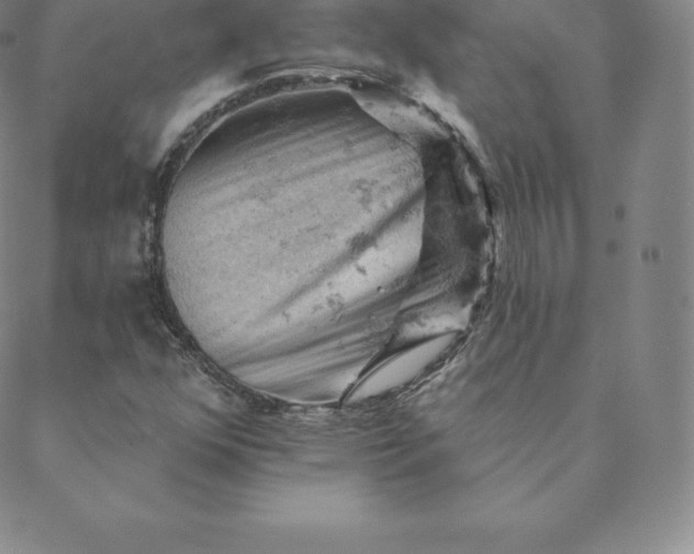 X0000088651352200706081627