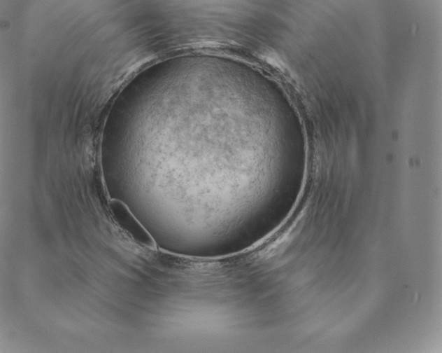 X0000088651353200706081627