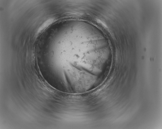 X0000088651354200706081627