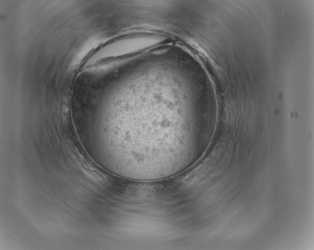 X0000088651355200706081627