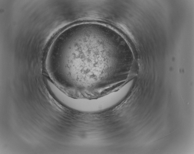 X0000088651356200706081627