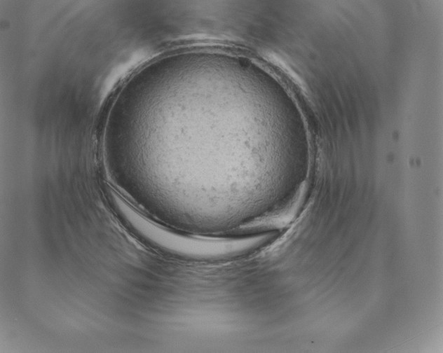 X0000088651357200706081627