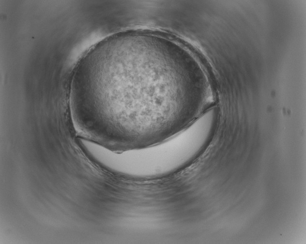 X0000088651359200706081627