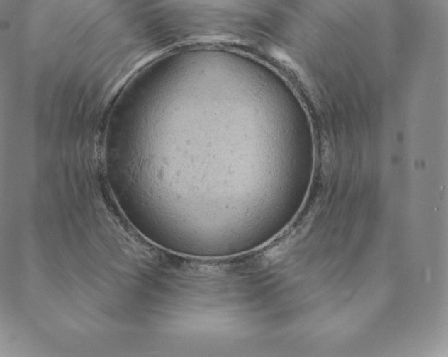 X0000088651361200706081627