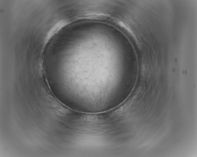 X0000088651362200706081627