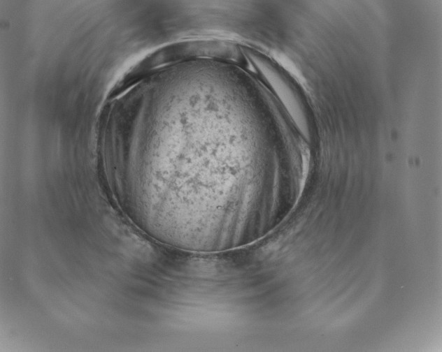 X0000088651364200706081627