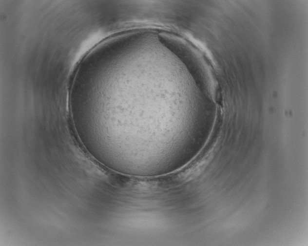 X0000088651365200706081627