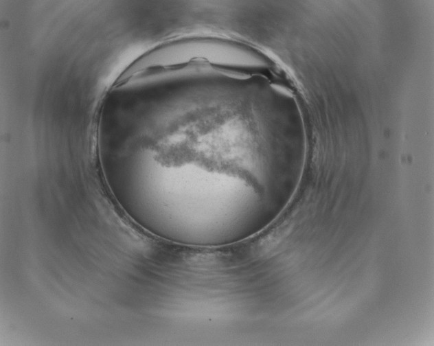 X0000088651367200706081627