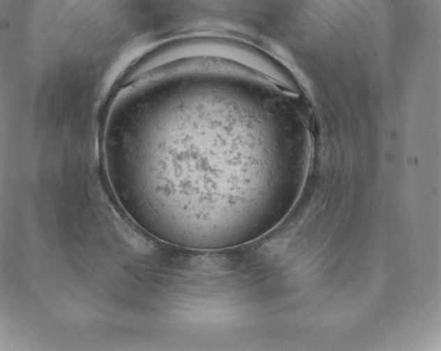 X0000088651368200706081627