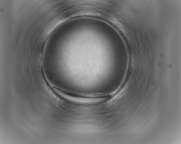 X0000088651369200706081627