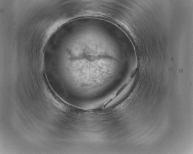 X0000088651371200706081627