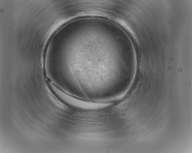 X0000088651372200706081627