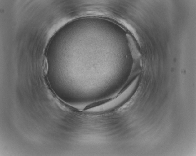 X0000088651373200706081627