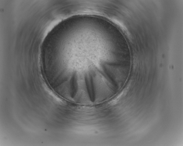 X0000088651374200706081627