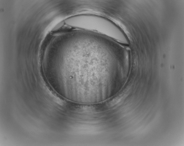 X0000088651375200706081627