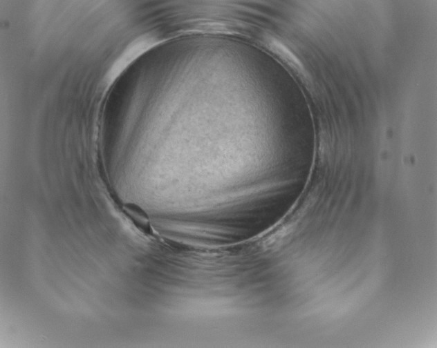 X0000088651378200706081627