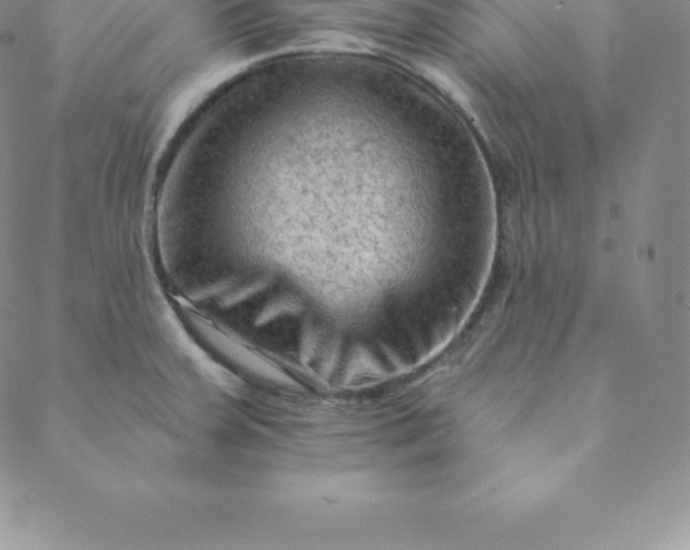 X0000088651379200706081627