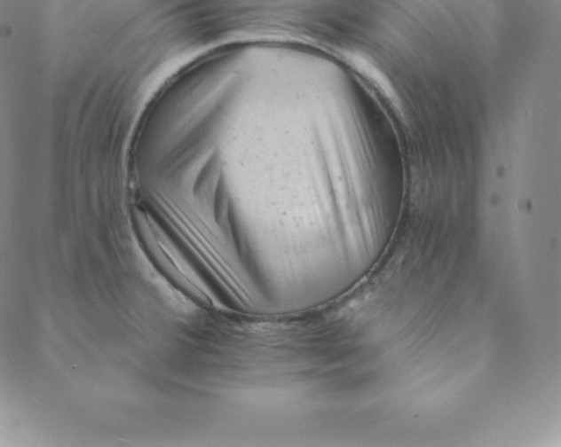 X0000088651380200706081627