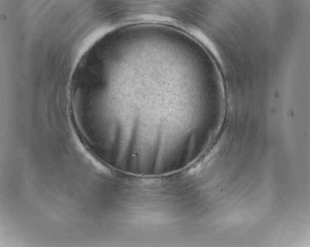 X0000088651381200706081627