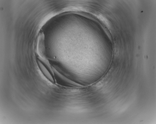 X0000088651382200706081627