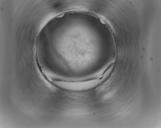 X0000088651383200706081627