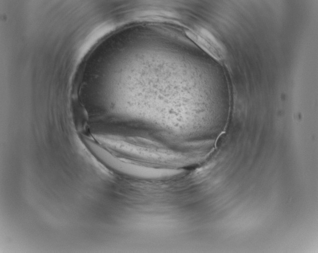 X0000088651384200706081627