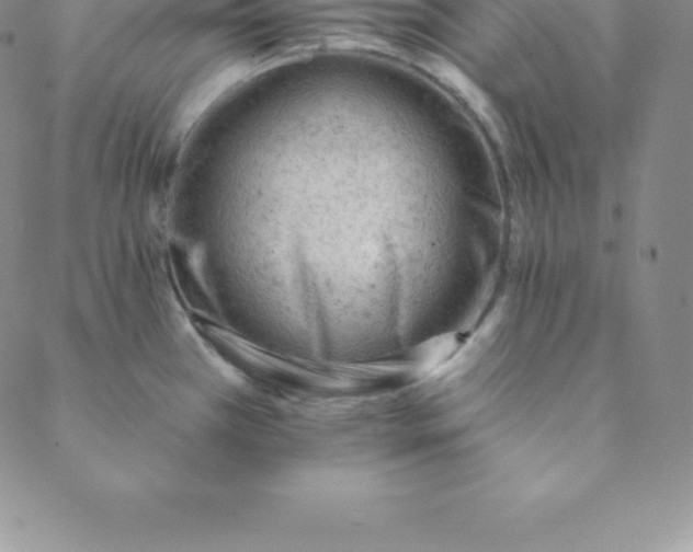 X0000088651385200706081627