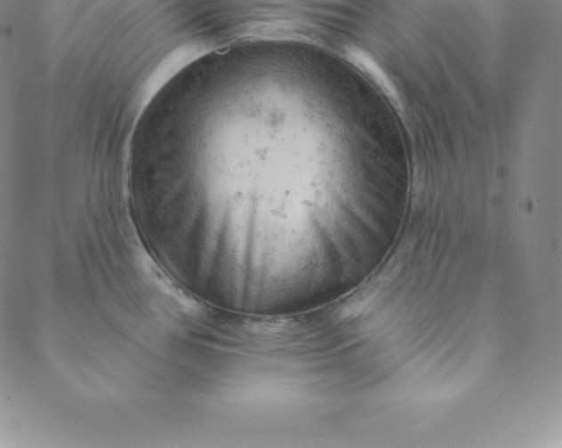 X0000088651386200706081627